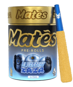 Blueberry Zaza Mates,