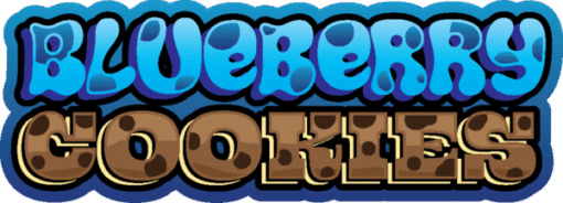 Blueberry Cookies Strain: Indulge in Premium Muha Cookies Flavor - Image 2