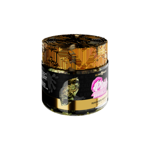 Gush Mintz: Refreshing Mint Drink for a Cool Experience - Buy Now! - Image 3