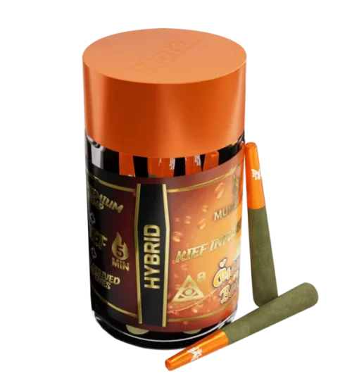 Orange Burst 5 Pre-Rolls, - Image 2